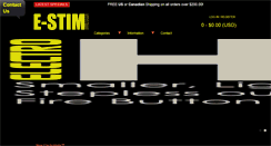 Desktop Screenshot of e-stimsystems.com